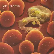 CD - Wishplants - Coma