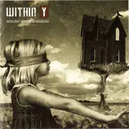 Within Y - Extended Mental Dimensions