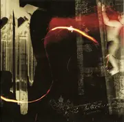 CD - Within Y - Extended Mental Dimensions