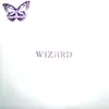 LP - Wizard - The Original Wizard - rare psych fuzz
