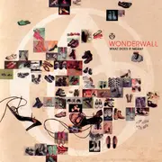CD - Wonderwall - What Does It Mean?