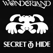 7inch Vinyl Single - Wonderland - Secret To Hide