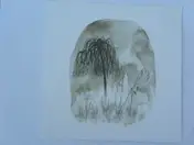 Woodpigeon - Trouble