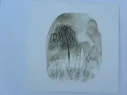 CD - Woodpigeon - Trouble - Digisleeve