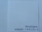 CD - Woodpigeon - Trouble - Digisleeve