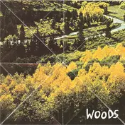 Half Machine Records