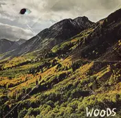 The Woods - Songs of Shame