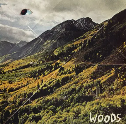WOODS - Songs of Shame