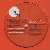Woody McBride - Everything Under The Sun