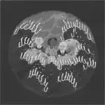 Woelv - LE Niveau DE LA Mer