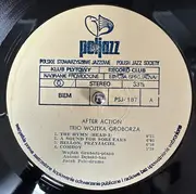 LP - Wojtek Groborz Trio - After Action