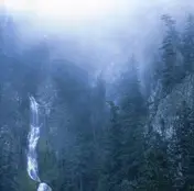 Wolves in the Throne Room - Deadem of 12 Stars