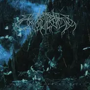 Wolves in the Throne Room - Live at Roadburn 2008