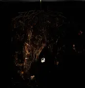 Double LP - Wolves In The Throne Room - Two Hunters - Gold 180g pressing