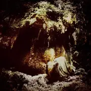 Double LP - Wolves In The Throne Room - Celestial Lineage - red transparent pressing +OBI