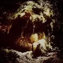 Double LP - Wolves In The Throne Room - Celestial Lineage - red transparent pressing +OBI