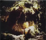 CD - Wolves In The Throne Room - Celestial Lineage - Digipak