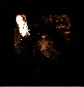 Double LP - Wolves In The Throne Room - Two Hunters - Gold 180g pressing