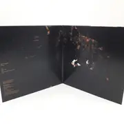 Double LP - Wolves In The Throne Room - Two Hunters - Gold 180g pressing