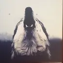 7inch Vinyl Single - Wolf Down - Mmxi - Red Clear Vinyl