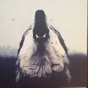 7inch Vinyl Single - Wolf Down - Mmxi - Red Clear Vinyl