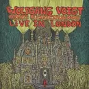 Double LP - Wolfgang Voigt - Rückverzauberung Live In London - 180gr, Ltd Ed