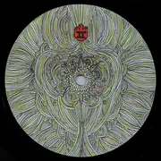 Double LP - Wolfgang Voigt - Rückverzauberung Live In London - 180gr, Ltd Ed