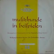 Mozart - Musikkunde In Beispielen, Wolfgang Amadeus Mozart: »Die Zauberflöte« (Auszug)
