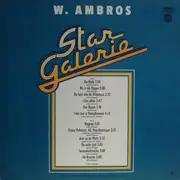 LP - Wolfgang Ambros - Star Galerie