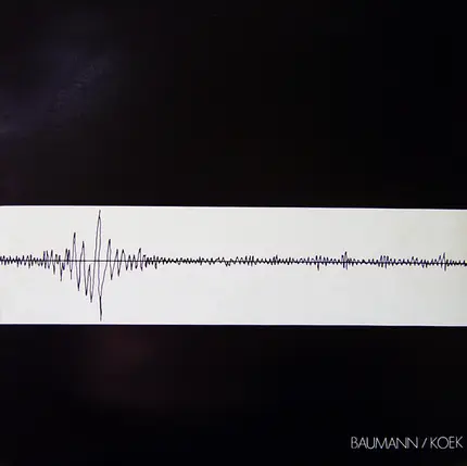 Wolfgang Baumann / Ata Koek - Baumann / Koek