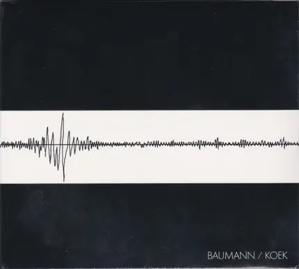 Wolfgang Baumann / Ata Koek - Baumann / Koek