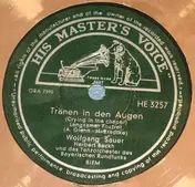 Wolfgang Sauer - Tränen In Den Augen (Crying In The Chapel)