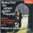 7inch Vinyl Single - Wolfgang Sauer - Brauchst Du Einen Guten Freund - No Cover