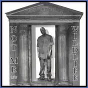 Wordsworth - Not Me / Wildlife