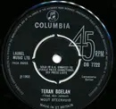 7inch Vinyl Single - Wout Steenhuis - Teran Boelan