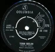 Wout Steenhuis - Teran Boelan