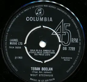 Wout Steenhuis - Teran Boelan