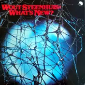 Wout Steenhuis - What's New
