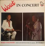 Wout Steenhuis - In Concert