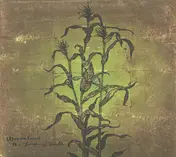 Woven Hand - The Laughing Stalk