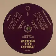 Wrd - Sounds In the Grass