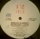 12'' - Wrecks-N-Effect - Go For What U Know
