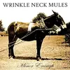 CD - Wrinkle Neck Mules - Minor Enough