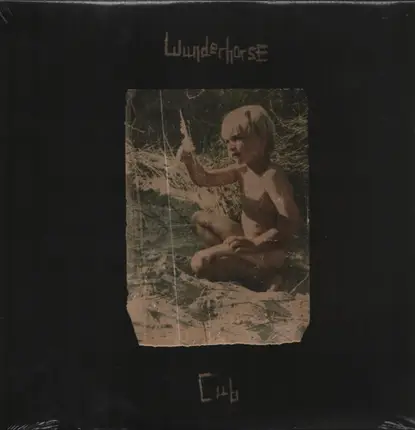 Wunderhorse - Cub