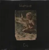 Wunderhorse - Cub
