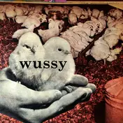 WUSSY - Wussy