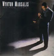 Wynton Marsalis - Hot House Flowers