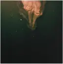 LP - Wye Oak - Civilian