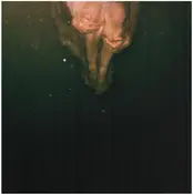 Wye Oak - Civilian