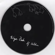 CD - Wye Oak - If Children